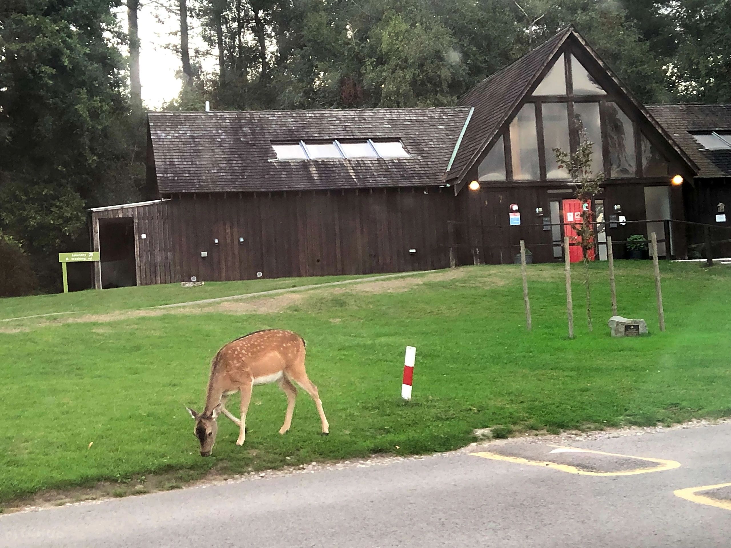 Terms and Conditions Bracelands Camping
